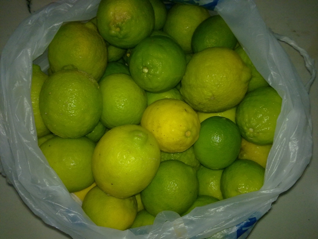 2013101904.jpg