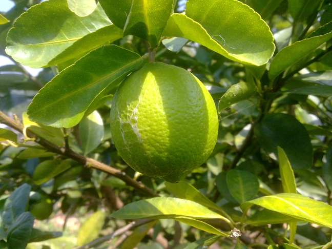 2013101910.jpg