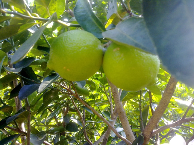 2013101911.jpg