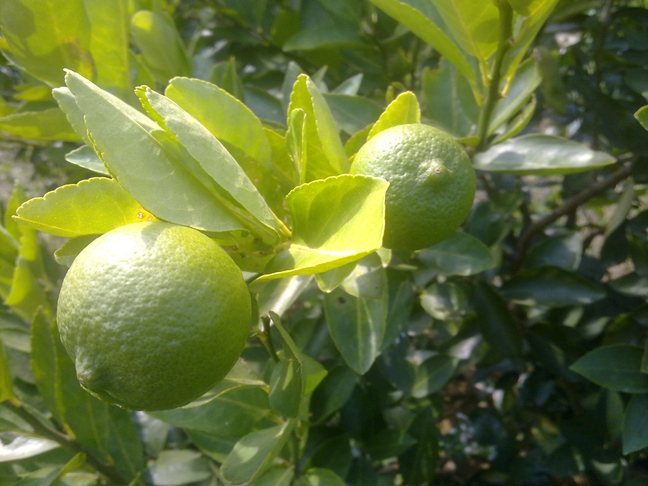 2013101913.jpg