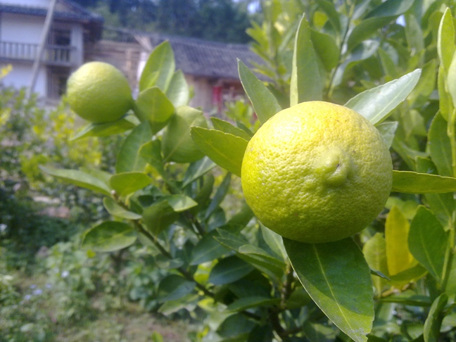 2013101914.jpg