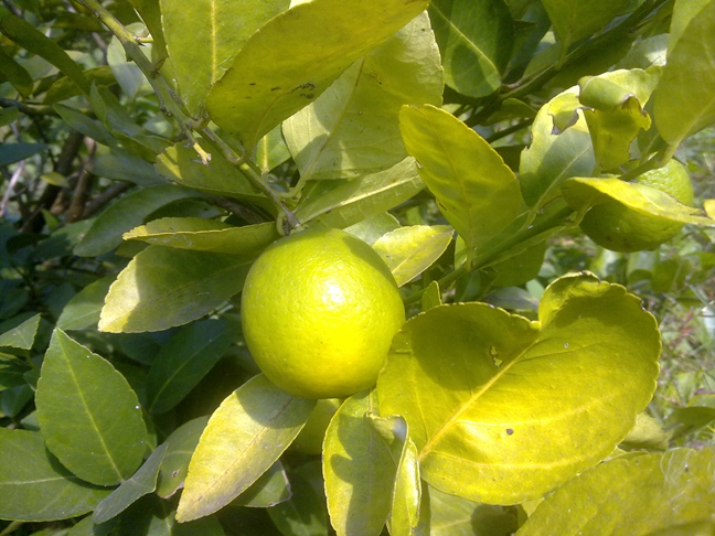 2013101915.jpg