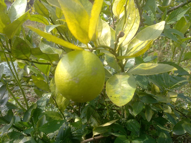 2013101917.jpg