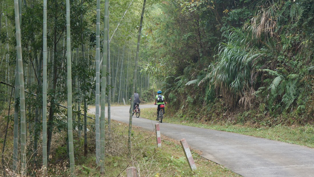 DSC09824_meitu_35.jpg