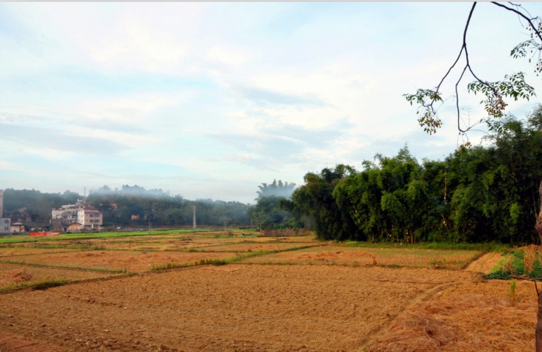 QQͼƬ20131114163637.jpg