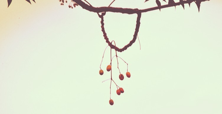 QQͼƬ20131114163645.jpg