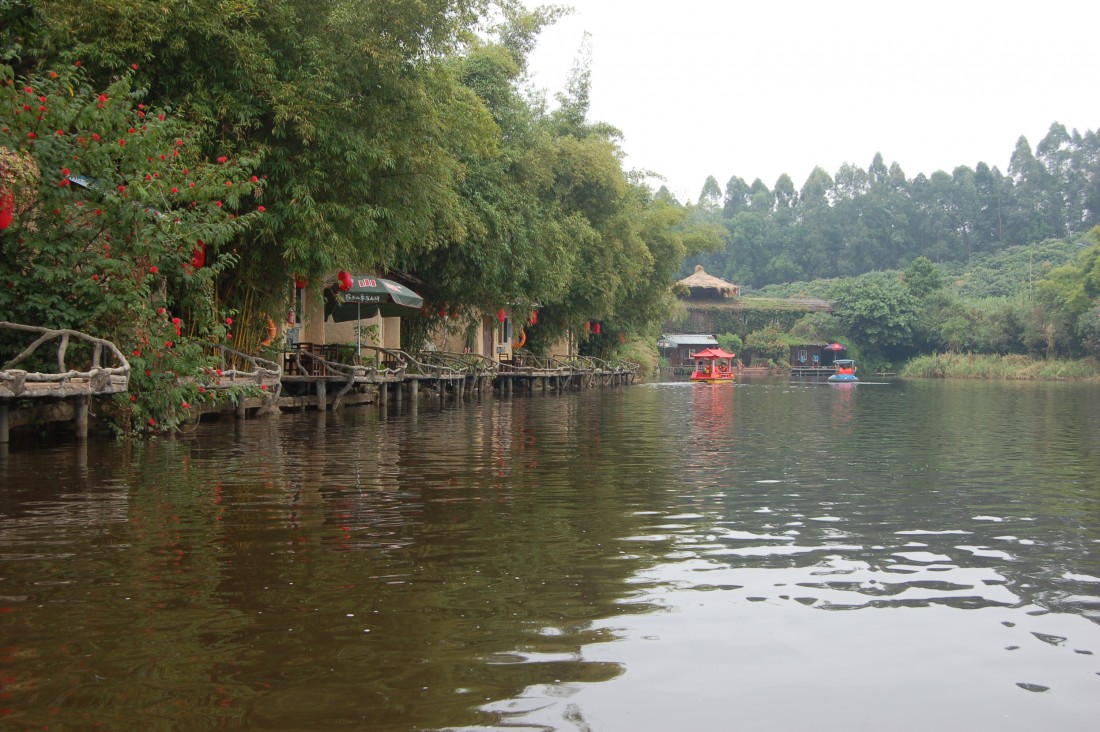 DSC_1355.JPG