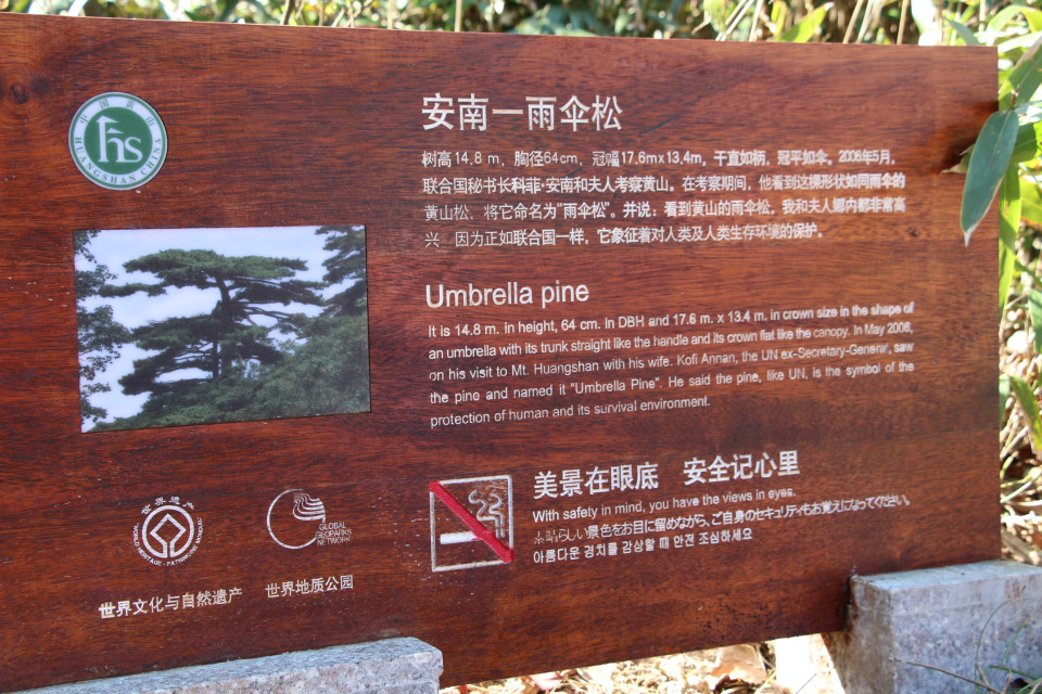 psb (38).jpg