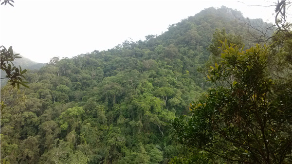 IMG_20130125_081323.jpg