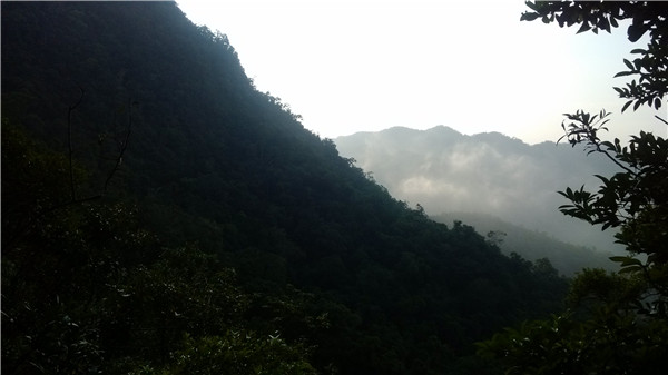 IMG_20130125_082244.jpg