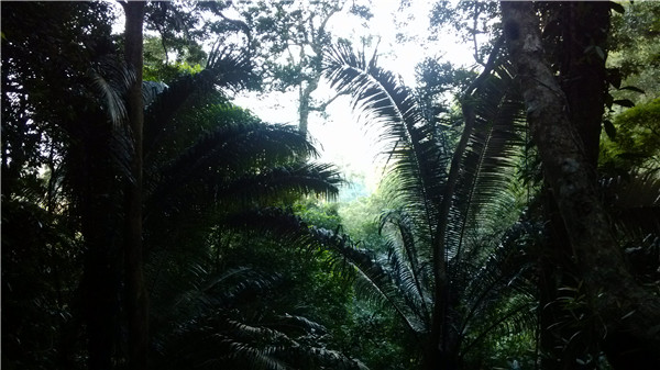 IMG_20130125_085825.jpg
