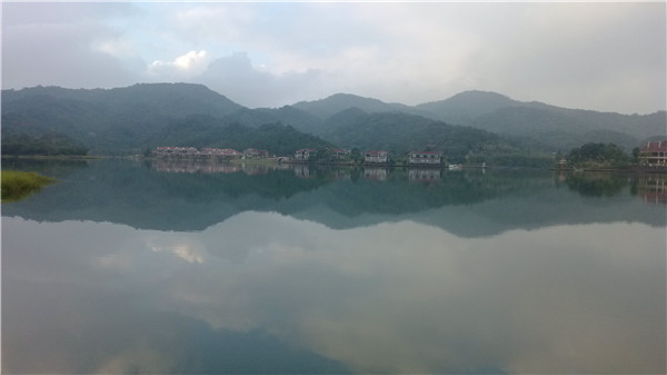 IMG_20130125_174746.jpg