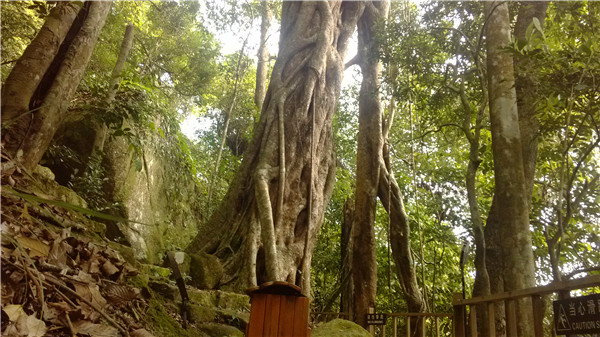 IMG_20130126_103028.jpg