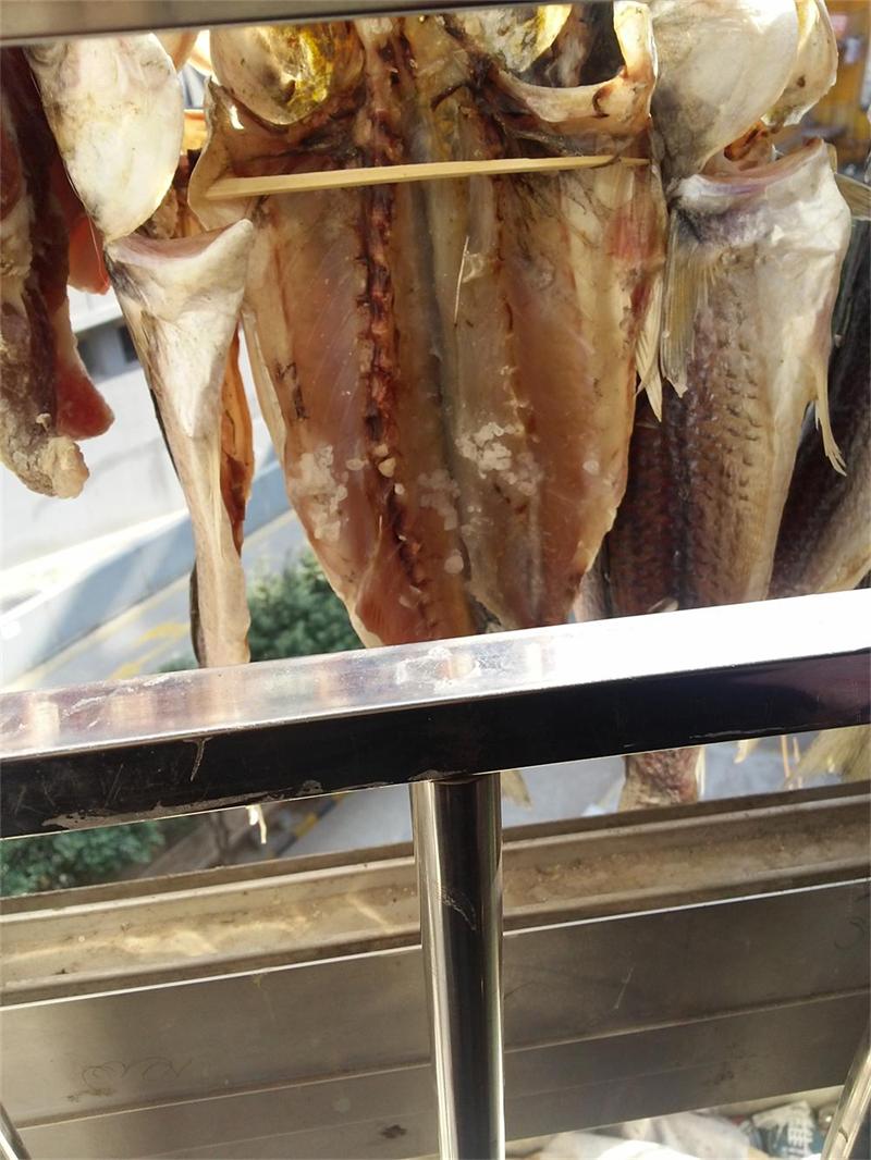 ĵڶ