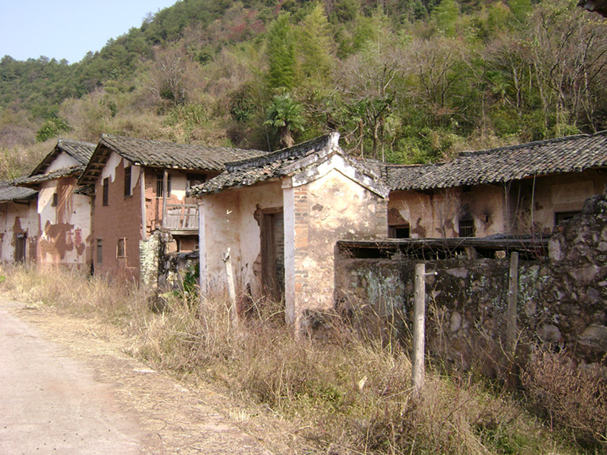 DSC00502_.jpg