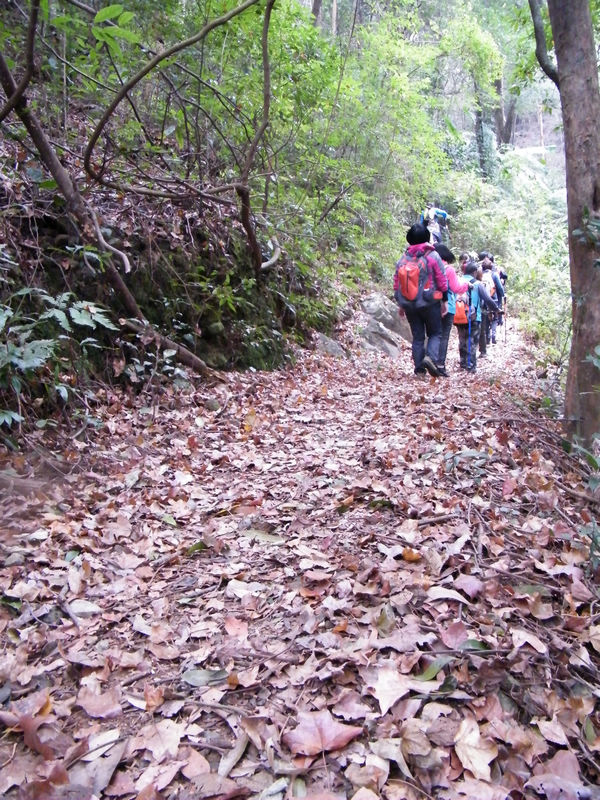 DSCF0114.JPG
