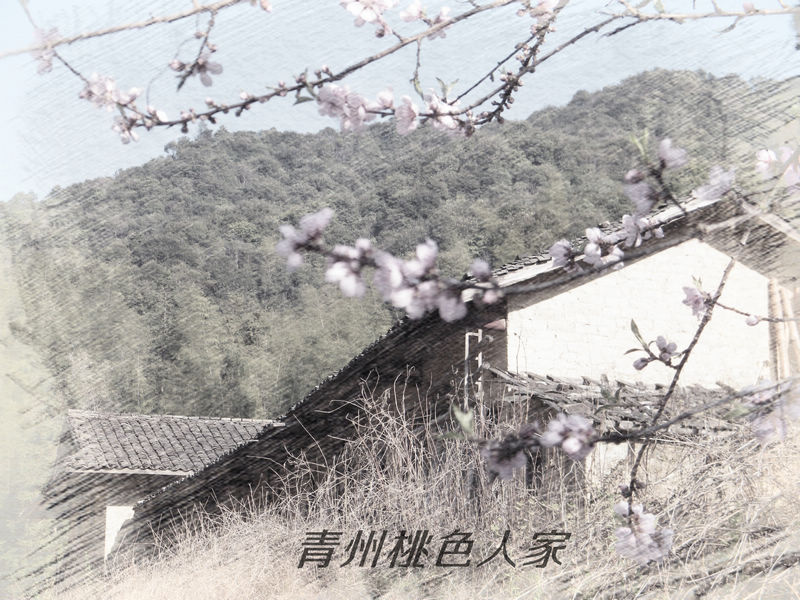 DSCF0348.jpg