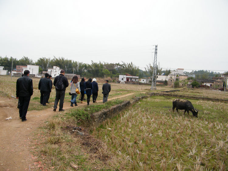 DSCF0915.JPG