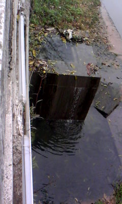 20140307_1246_0.jpg