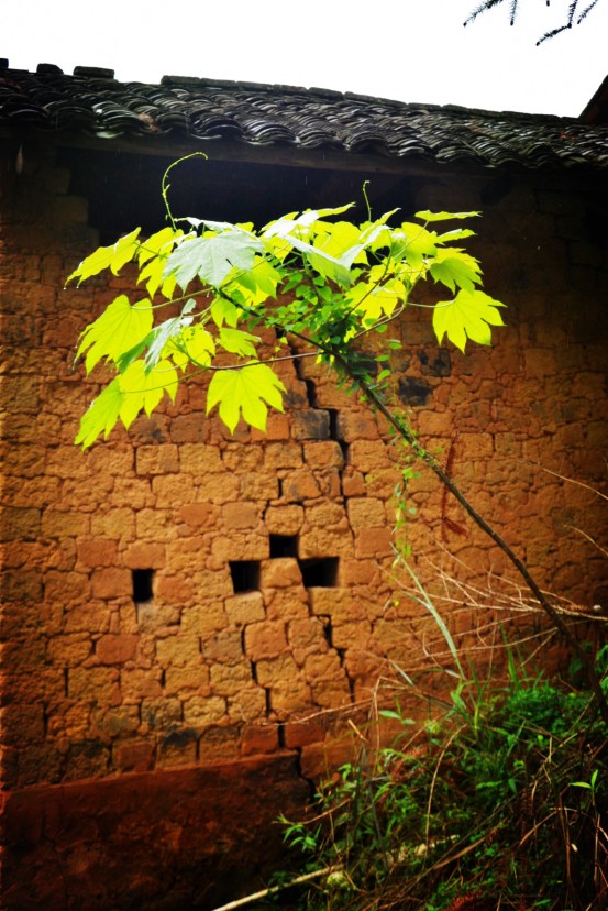 QQͼ20140409163349.jpg