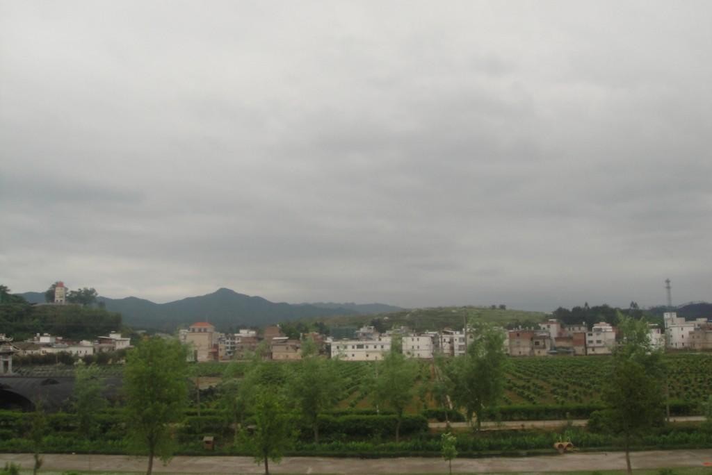 ѹ_DSC05950.JPG