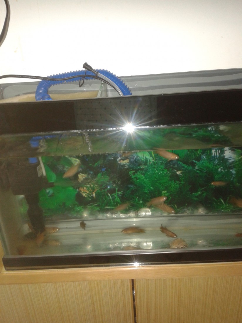 20140428_232923.jpg