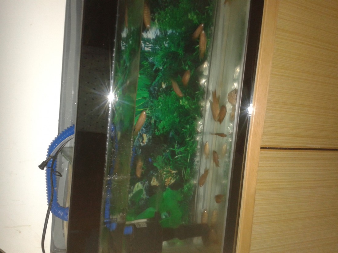 20140428_232940.jpg