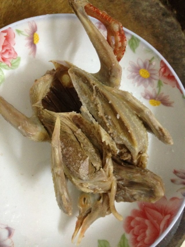 5555.jpg