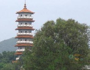 s_2012122223958.jpg