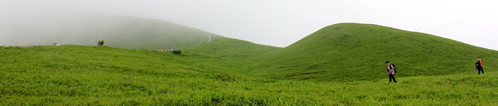 IMG_1362_.jpg