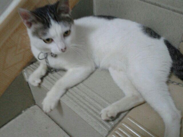 20140524124824.jpg