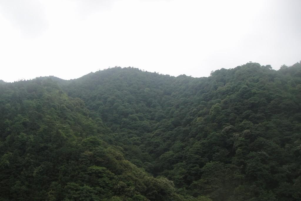 ѹ_DSC06228.JPG