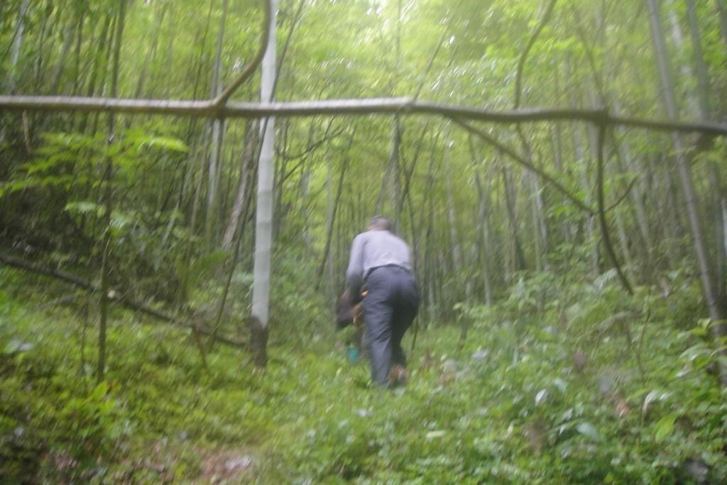 ѹ_DSC06184.JPG