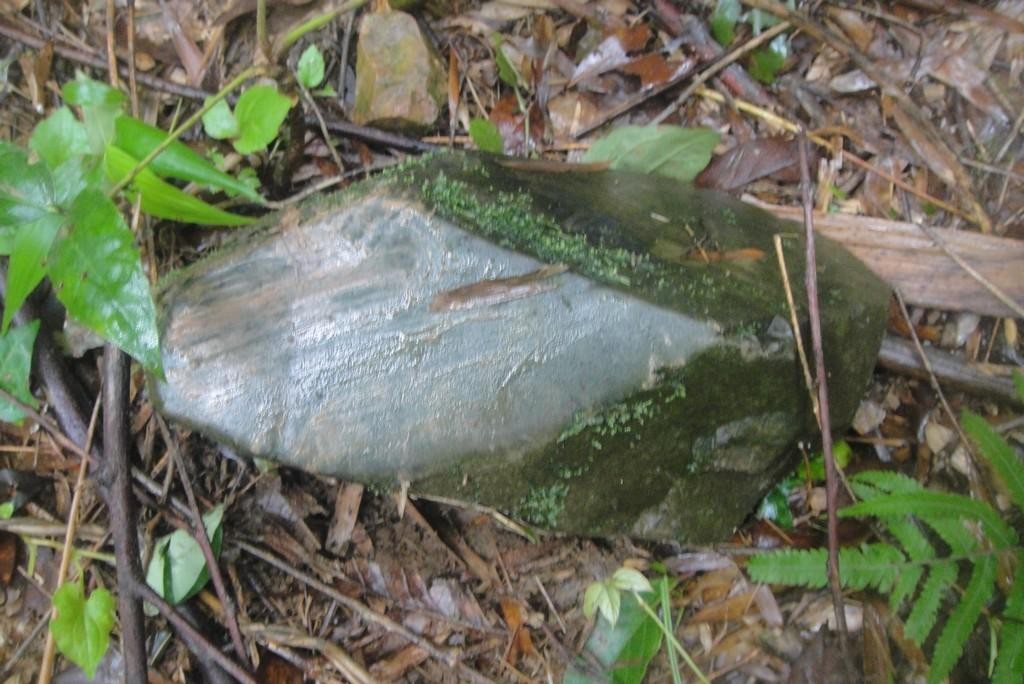 ѹ_DSC06218.JPG