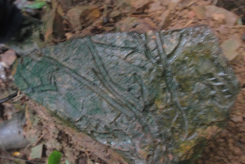 ѹ_DSC06226.JPG