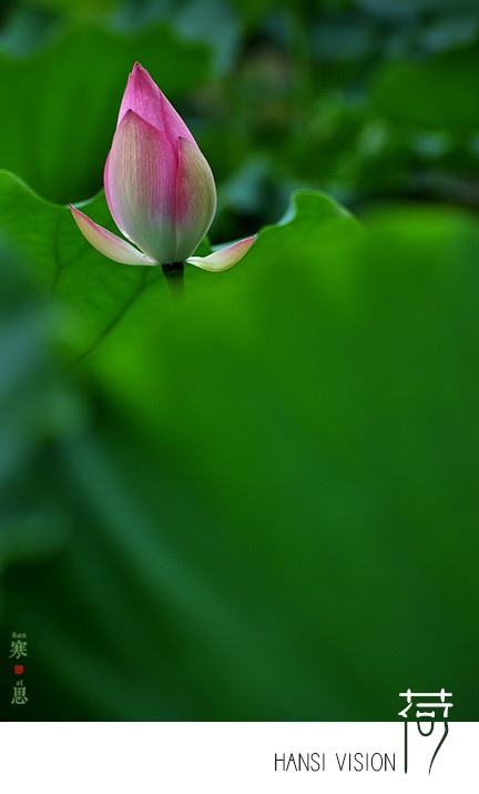 DSC_0598-sc.jpg