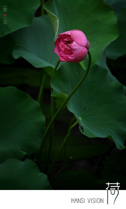 DSC_0286-sc.jpg