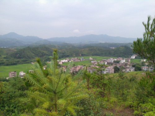 IMG_20130924_153444.jpg