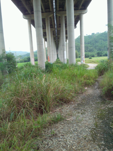 IMG_20130924_154415.jpg
