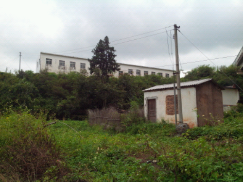 IMG_20130924_154504.jpg