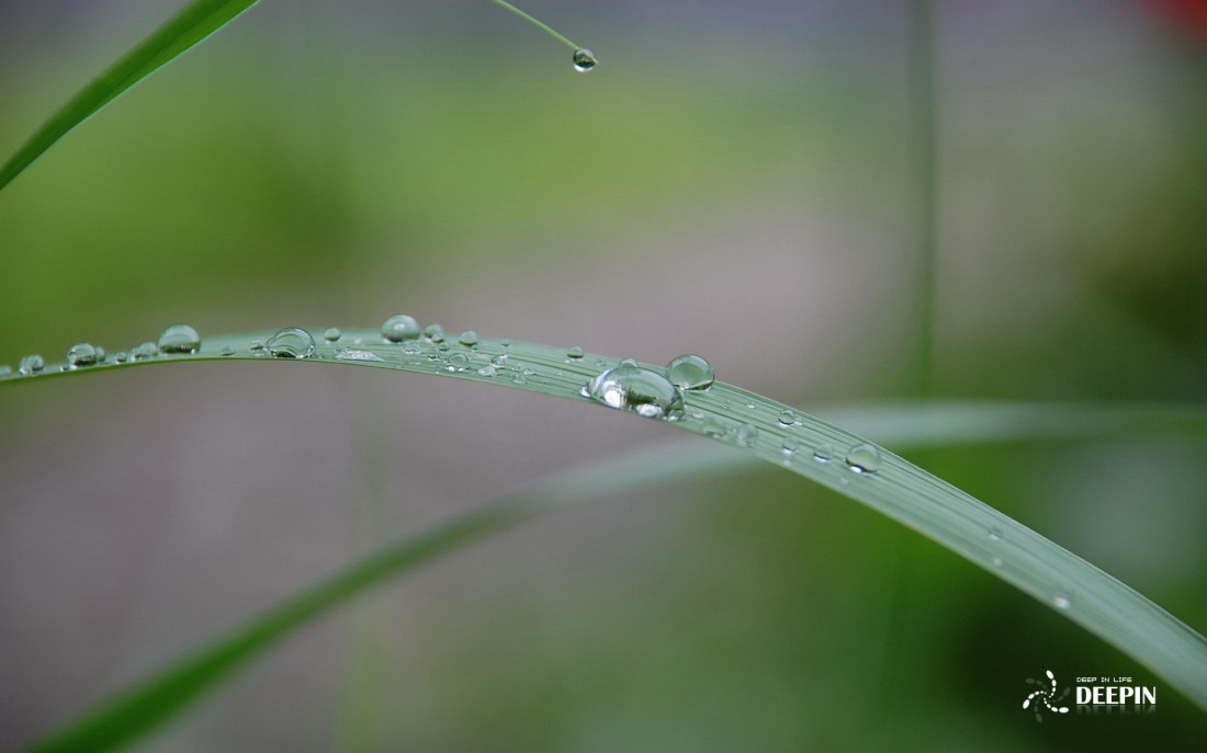 1440x900_08.jpg