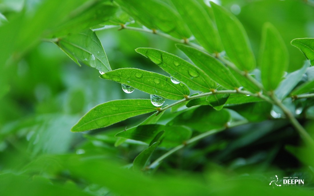 1440x900_16.jpg
