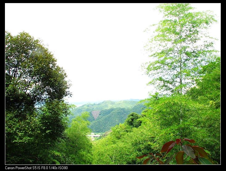 小飞1 063.JPG