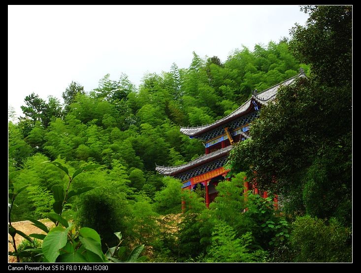 小飞1 065.JPG