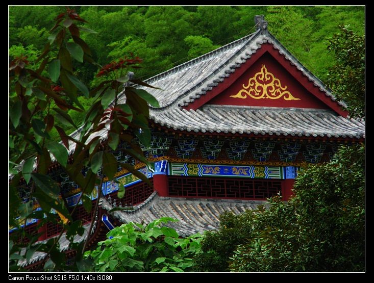 小飞1 066.JPG