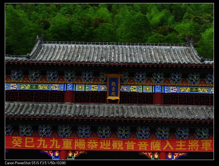 小飞1 075.JPG