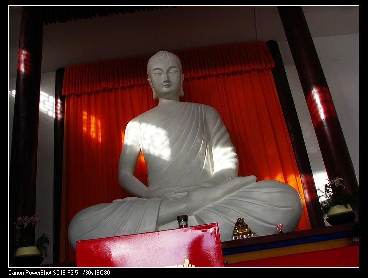 小飞1 084.JPG