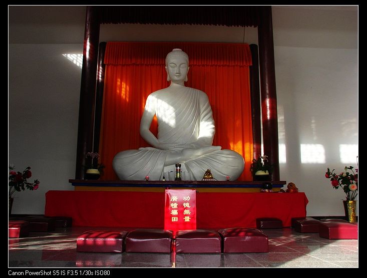小飞1 087.JPG