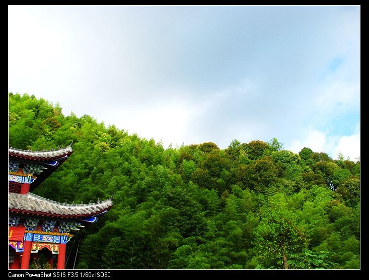 小飞1 101.JPG