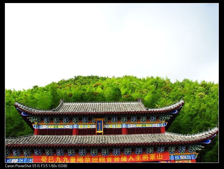 小飞1 102.JPG